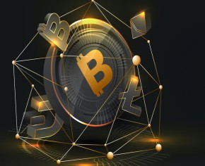 Investor Image Missing